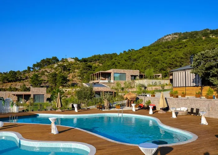 Cabras Kazdaglari Ayvacik (Canakkale)