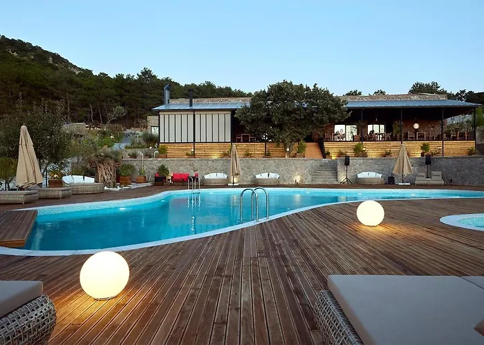 Cabras Kazdaglari Ayvacik (Canakkale)